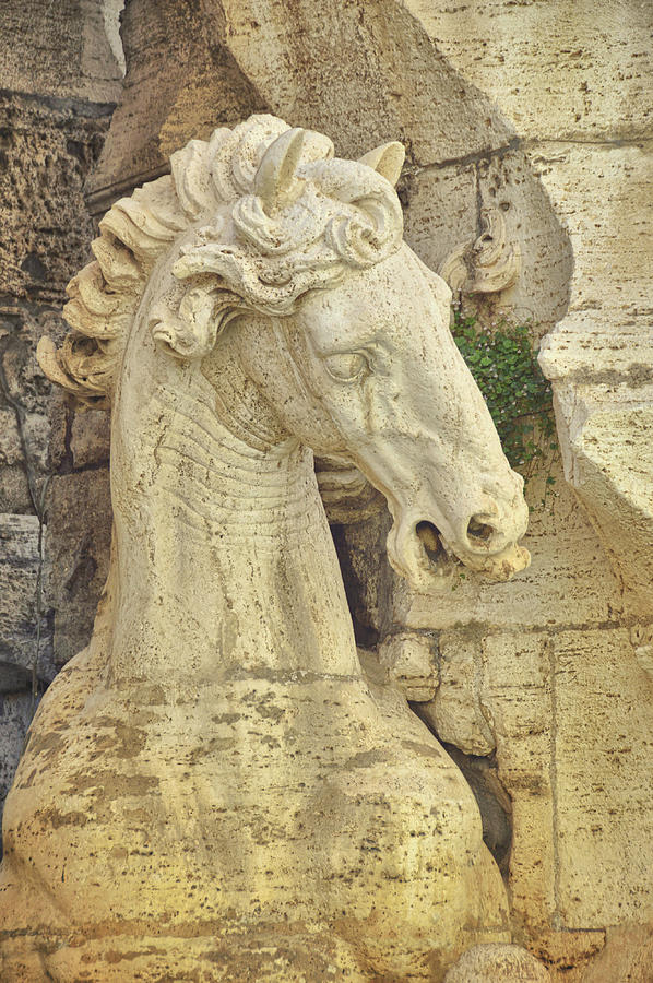 The Horse In Fountain  Photograph by JAMART Photography