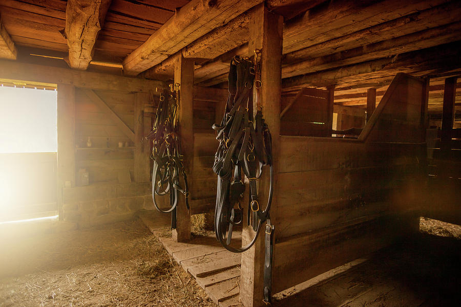 The Horse Stable Photograph by Karen Varnas