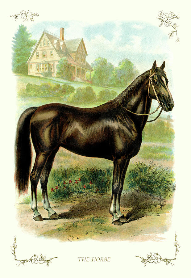 The Horse Painting by Unknown