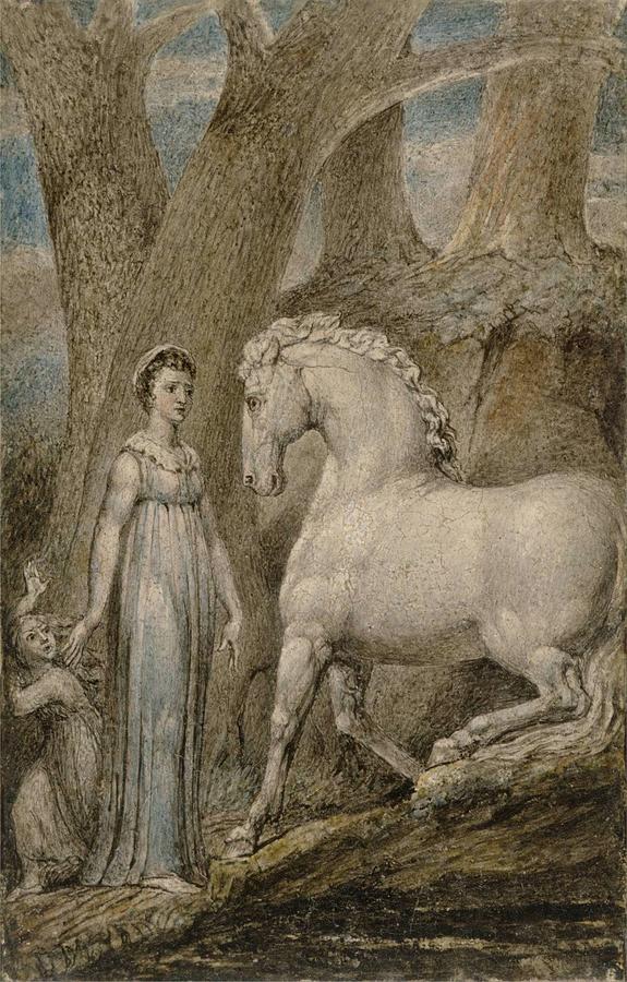 The Horse William Blake Painting by Celestial Images