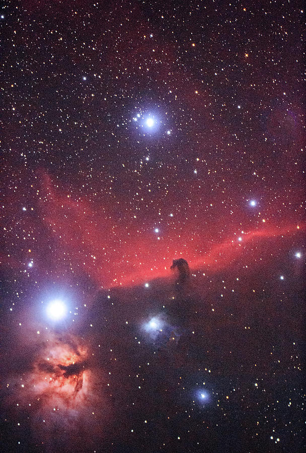 The Horsehead Nebula Photograph