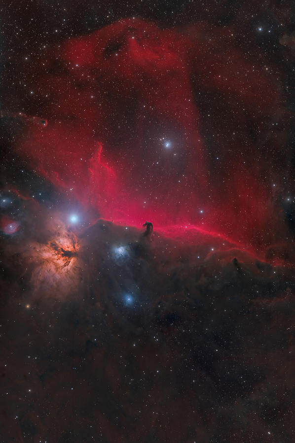 The Horsehead Nebula Photograph by Nicolas Rolland