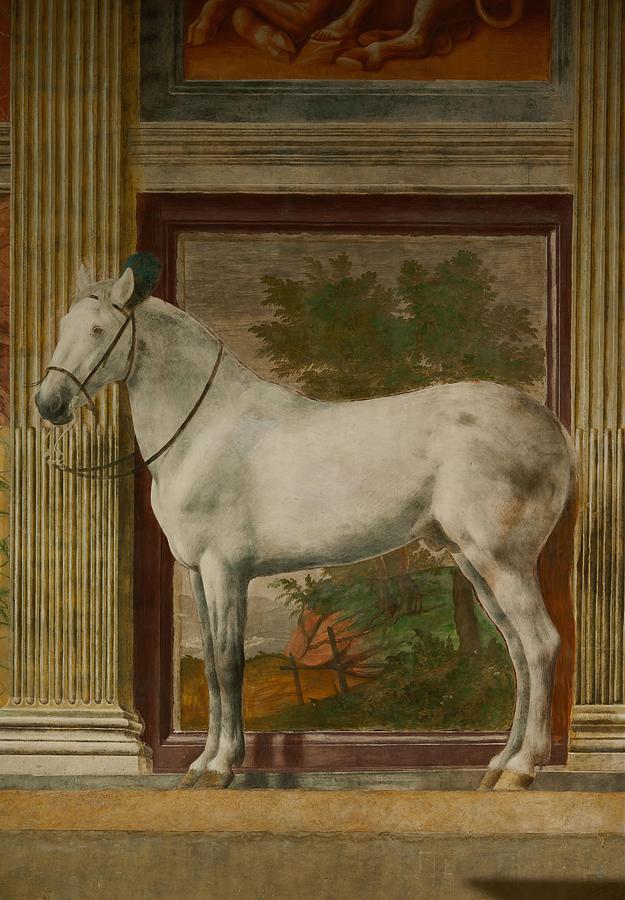 The Horses Hall -Salone dei Cavalli- with murals of Federico II Gonzagas favourite horses. Painting by Giulio Romano -c 1499-1546-