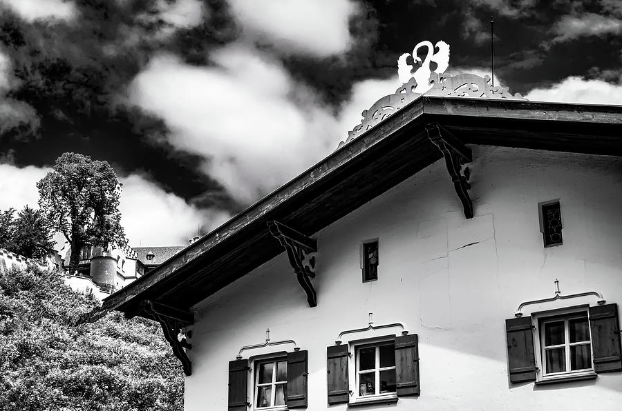 The House of the Swan by Borja Robles The House of the Swan by Borja Robles