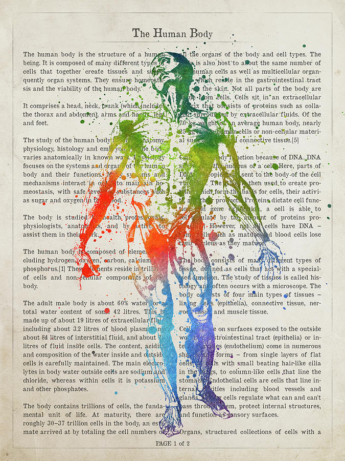 The Human Body Illustation 03 Digital Art by Aged Pixel