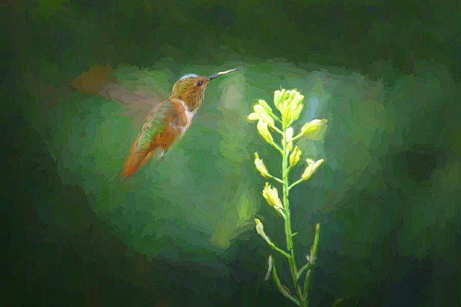 The Hummingbird Digital Art by Ernest Echols