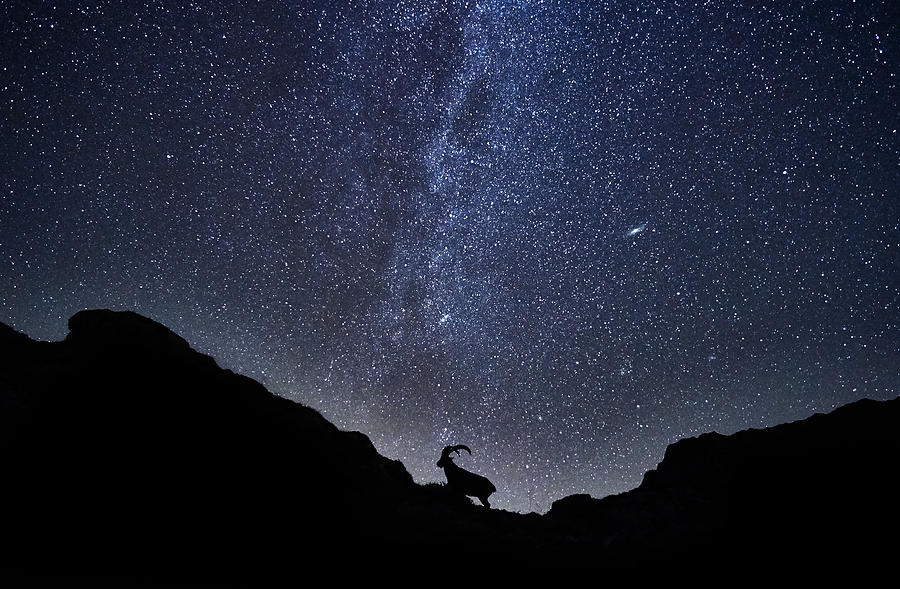 The Ibex And The Milky Way Photograph by Charly Lataste