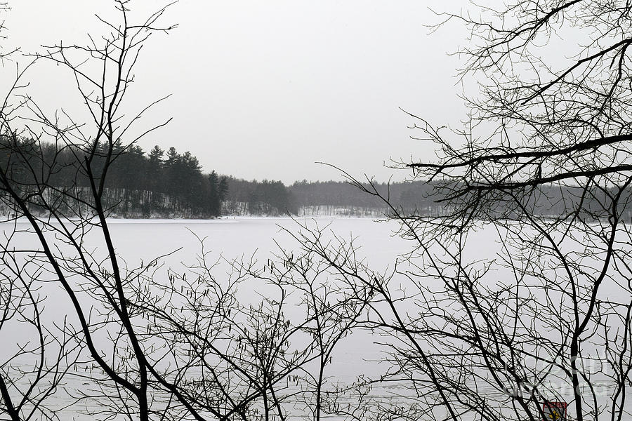 The Ice Across Walden Photograph by Leslie M Browning