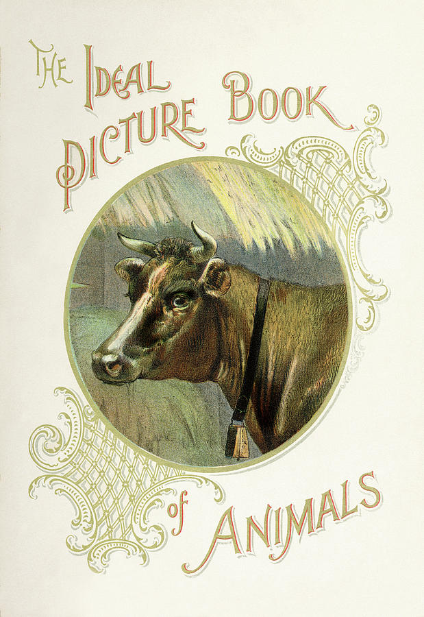 The Ideal Picture Book of Animals Painting by Unknown