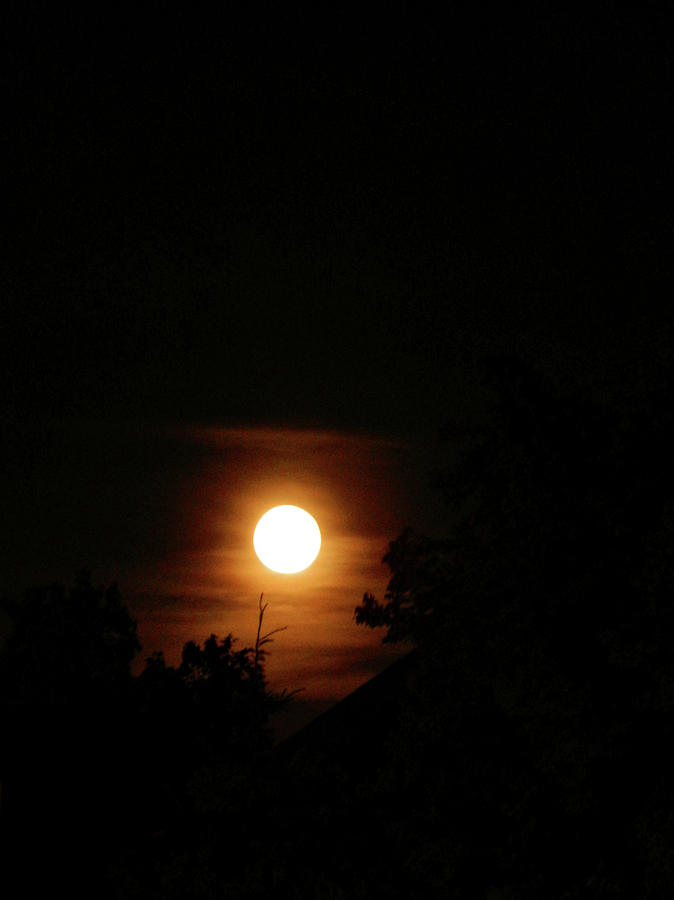 The Illuminating Luna Photograph by Cyryn Fyrcyd