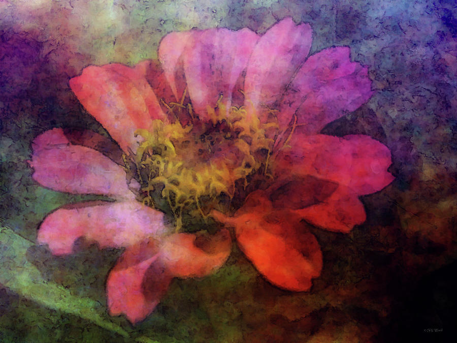 The Impression of Pink Zinnias 9529 IDP_2 Photograph by Steven Ward