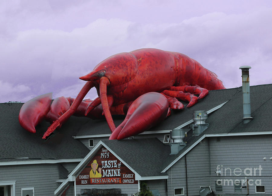 The Invasion of the Monsta Lobsta Photograph by Imagery-at- Work
