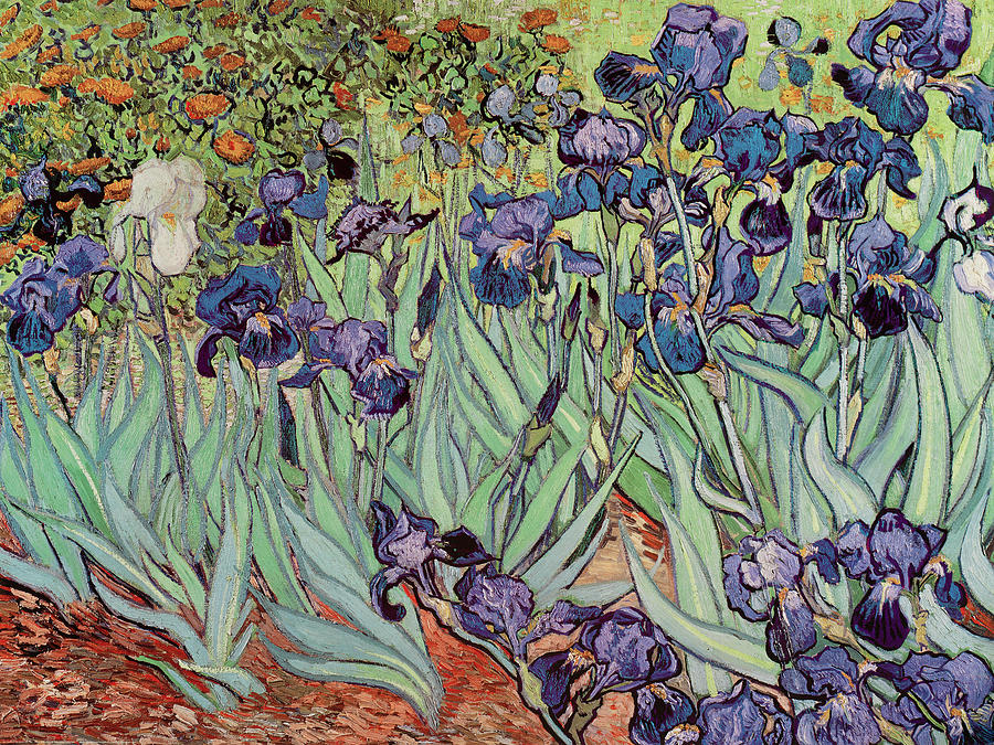 Flower Painting - The Iris, 1889 by Masters Collection