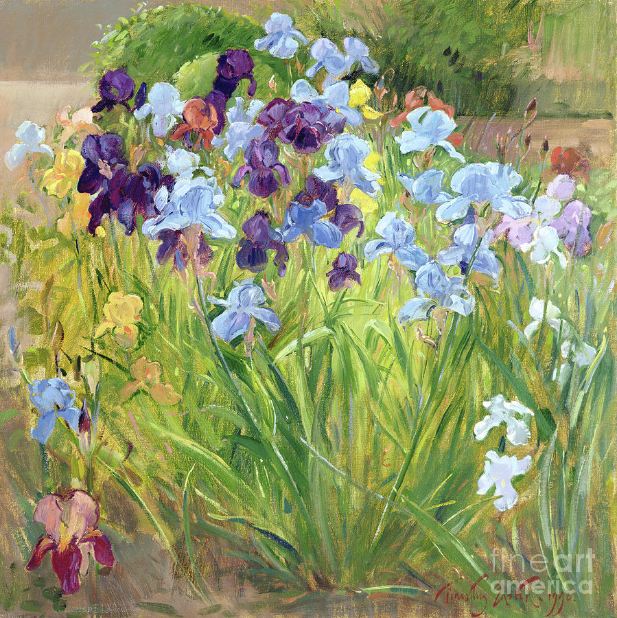 The Iris Bed, Bedfield, 1996 Painting by Timothy Easton