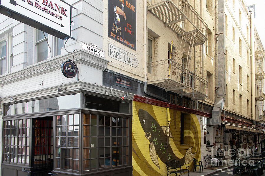 The Irish Bank Bar and Restaurant 10 Mark Lane San Francisco R390 Photograph by Wingsdomain Art and Photography