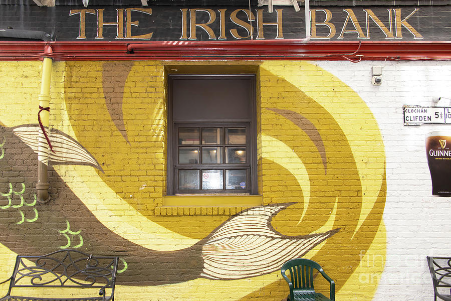 The Irish Bank Bar and Restaurant 10 Mark Lane San Francisco R393 Photograph by Wingsdomain Art and Photography
