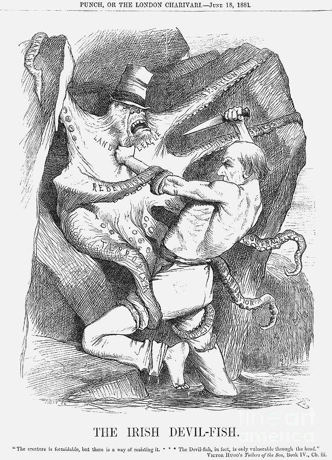 The Irish Devil-fish, 1881. Artist Drawing by Print Collector