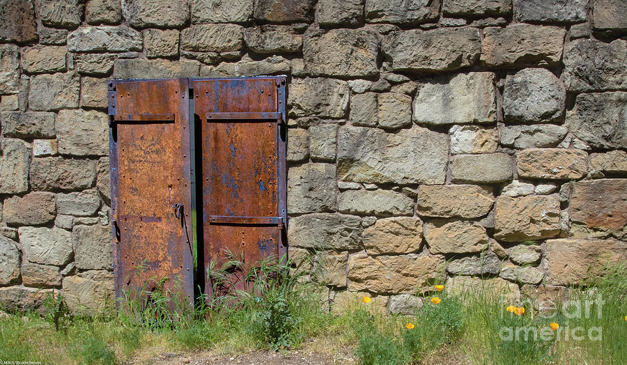 The Iron Door Photograph