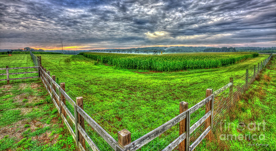 The Iron Horse Corn Field U G A Iron Horse Farm Agriculture Art Photograph by Reid Callaway