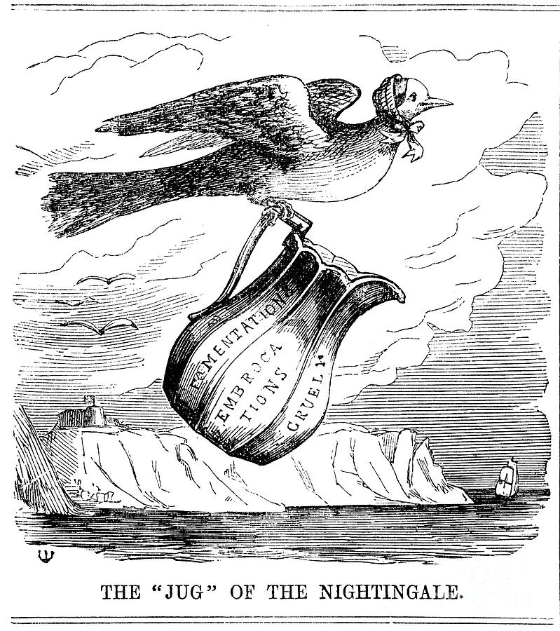 The Jug Of The Nightingale, 1854 Drawing by Print Collector