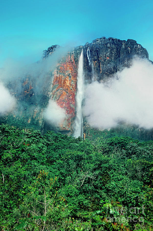 The Jungle Surrounds Angel Falls And Tropical Rainforest Canaima Np Venezuela Photograph by Dave Welling