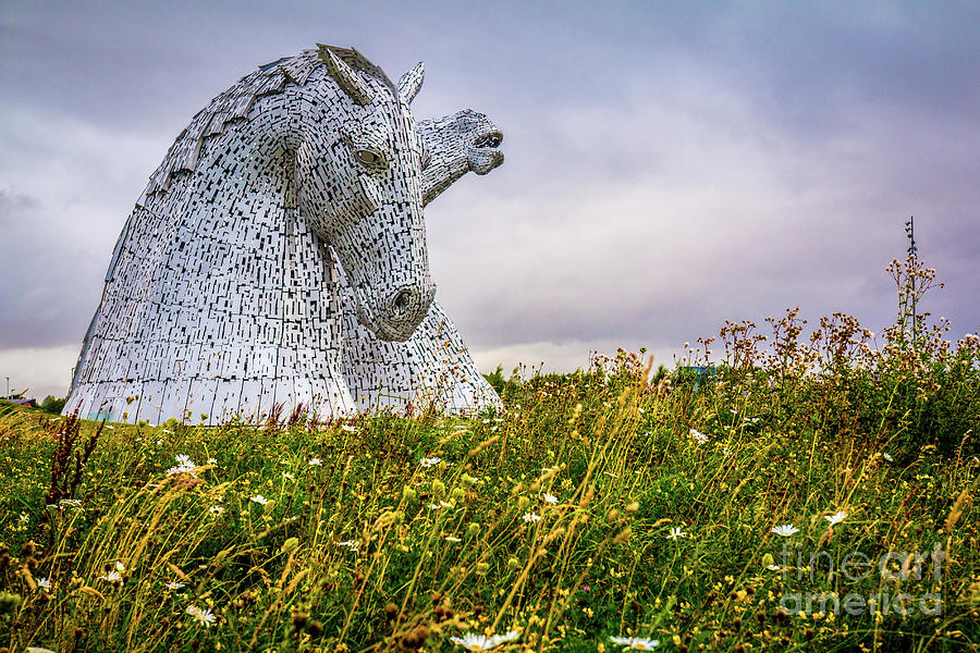 The Kelpies Photograph by Dave Lessard / 500px
