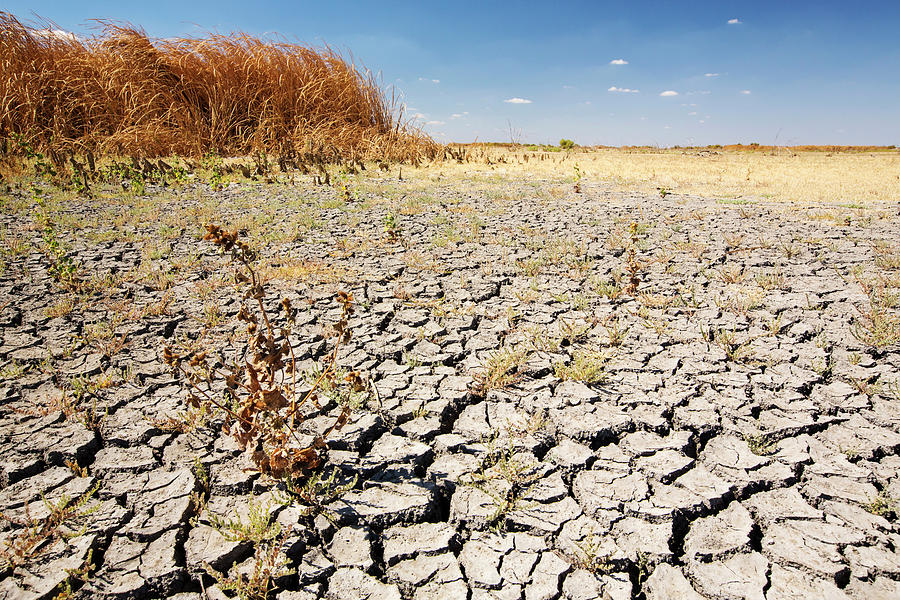 The Kern Valley Wildlife Refuge In California's Central Valley Was ...