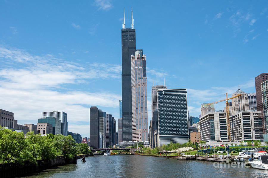 The King and Queen of Chicago Photograph by Jim Chamberlain - Fine Art ...