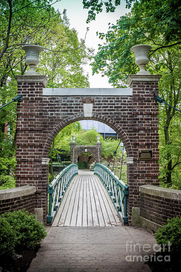 The Kissing Bridge by Colleen Kammerer The Kissing Bridge by Colleen Kammerer