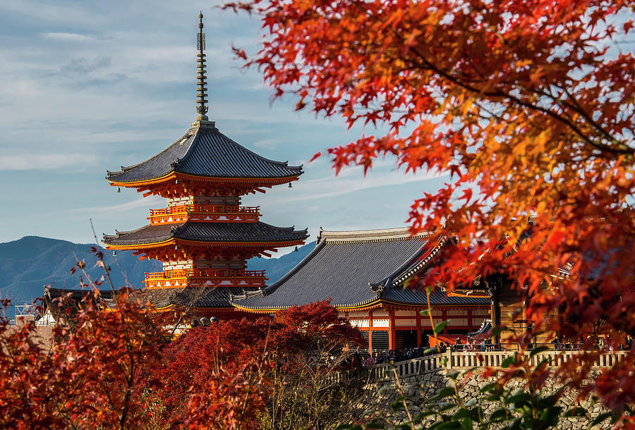 The Kiyomizu-dera Temple Thrones Above Kyoto Photograph by Cavan Images ...