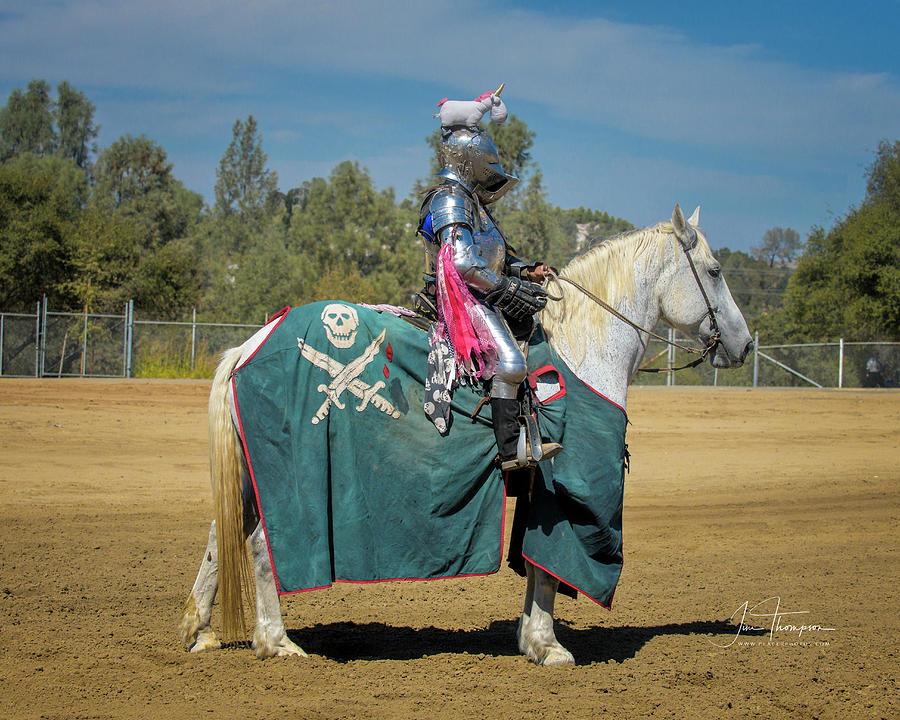 The Knight With The Unicorn On His Helm Photograph by Jim Thompson