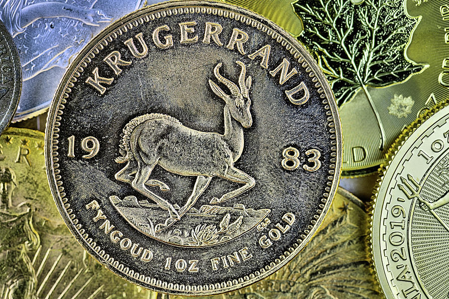 The Krugerrand Photograph by JC Findley