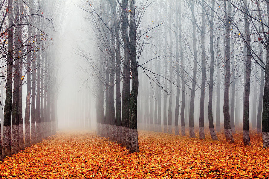 The Labyrinth by Evgeni Dinev Photography