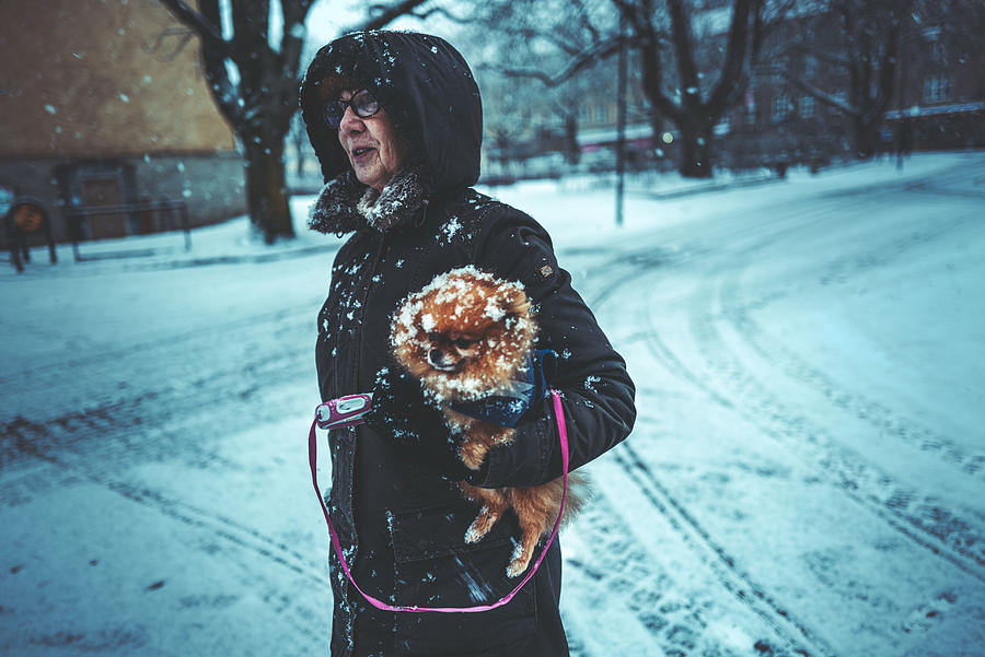 The Lady With The Dog Photograph by Alex Ogazzi