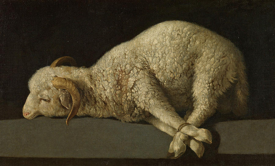 Francisco De Zurbaran Painting - The Lamb of God, Agnus Dei by Francisco de Zurbaran