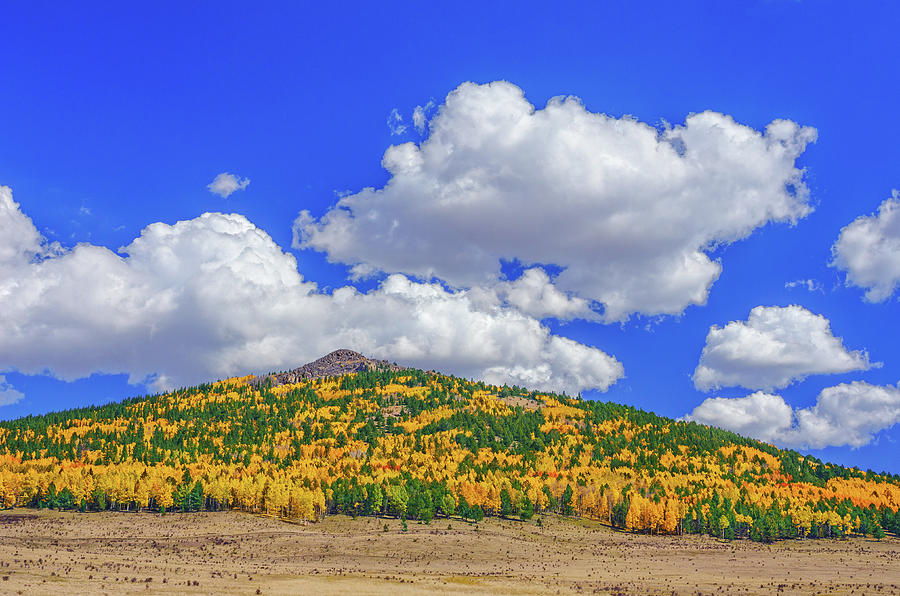 The Lapis Lazuli Sky Of Colorado High Country by Bijan Pirnia