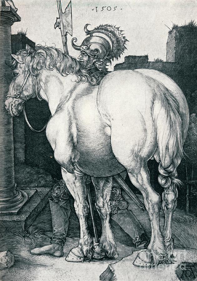 The Large Horse, 1505 1906. Artist Drawing by Print Collector