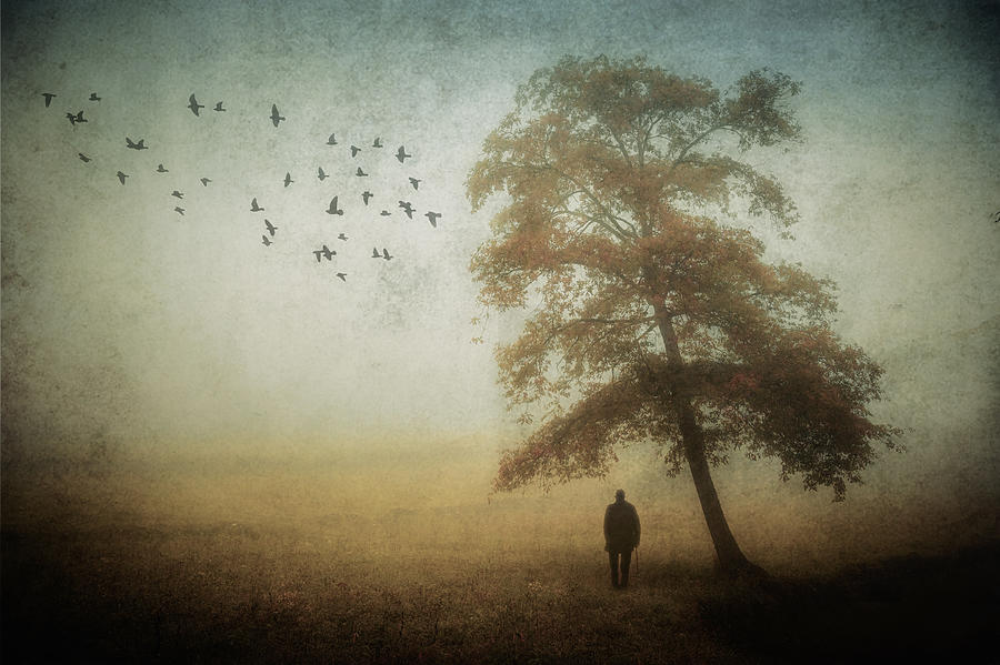 The Last Autumn\s Dream Photograph by Cristiano Giani