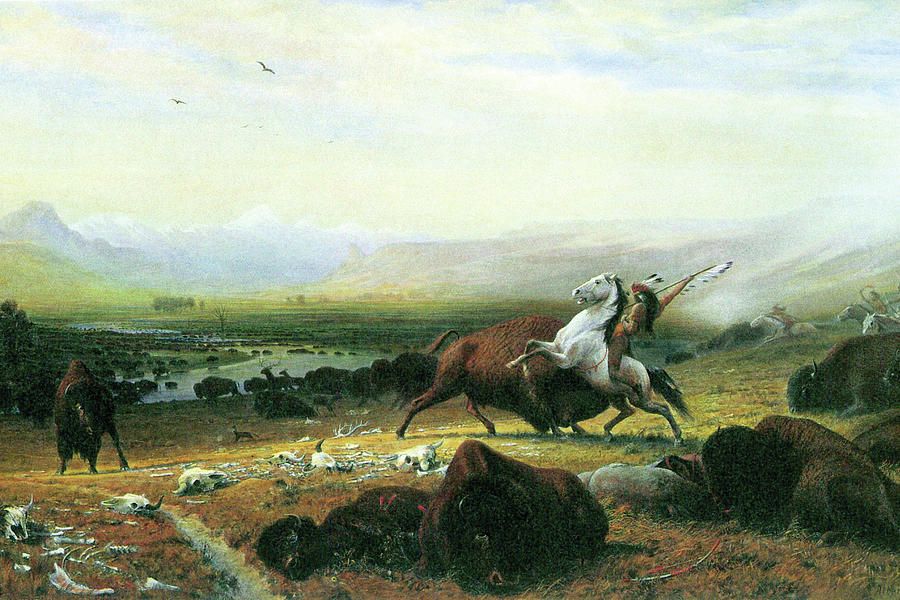 The Last Buffalo Painting by Albert Bierstadt