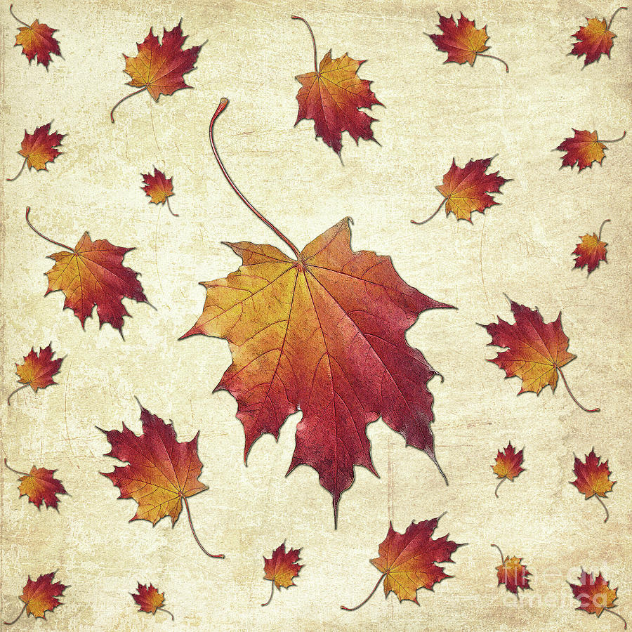 The Last Dance Of A Falling Leaf Digital Art