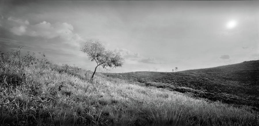 The last day by Trinidad Dreamscape The last day by Trinidad Dreamscape