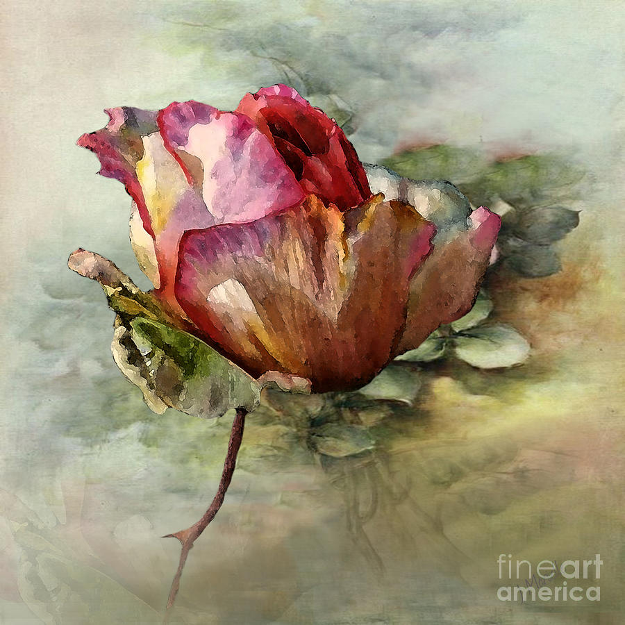 The Last Rose of Summer Digital Art by J Marielle