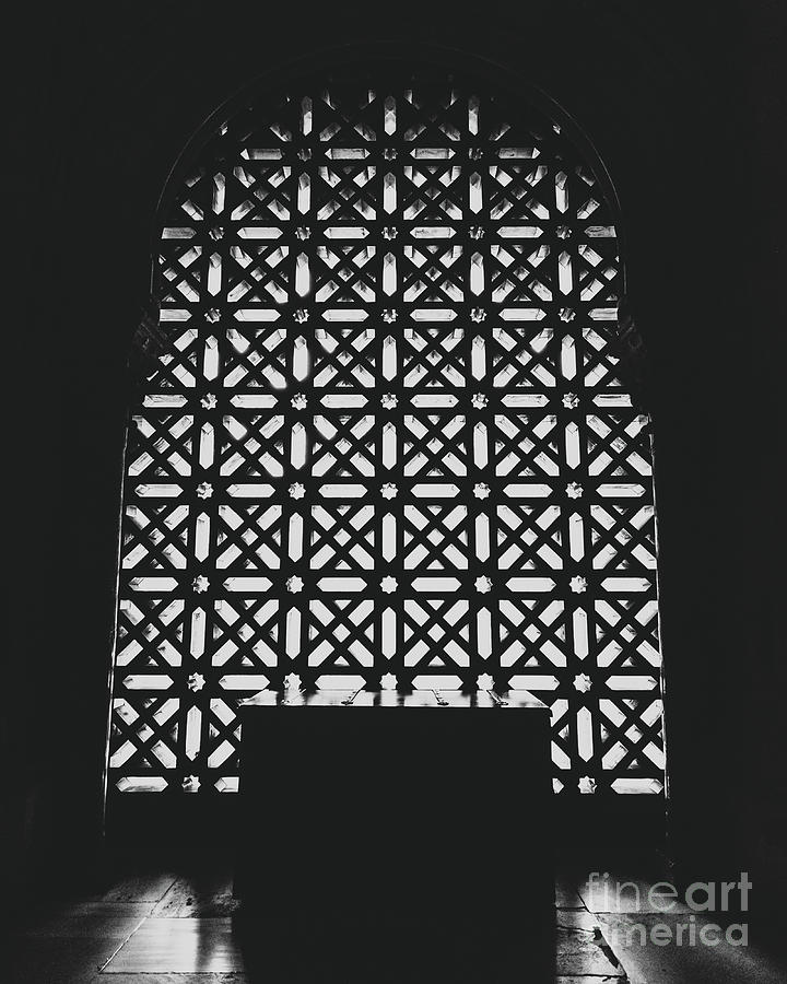 The lattice door Photograph by Luis GA