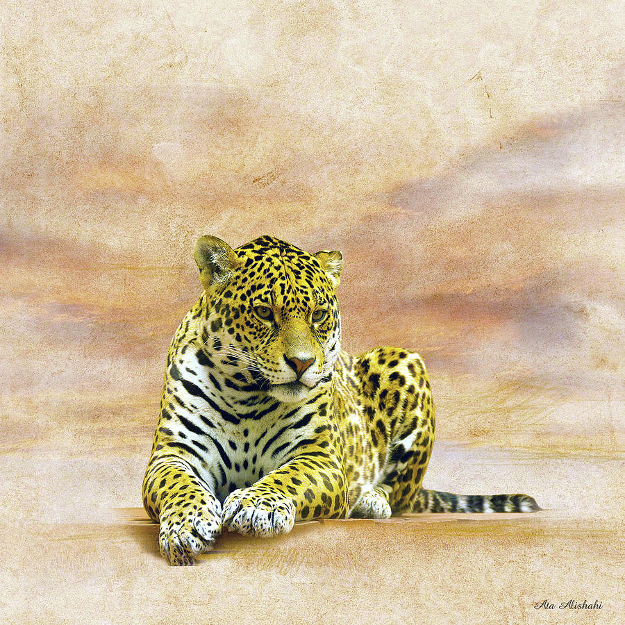 Animal Mixed Media - The Leopard 2a by Ata Alishahi