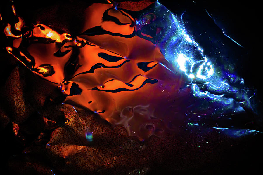 The Leopard Moonfish Digital Art by Liquid Eye