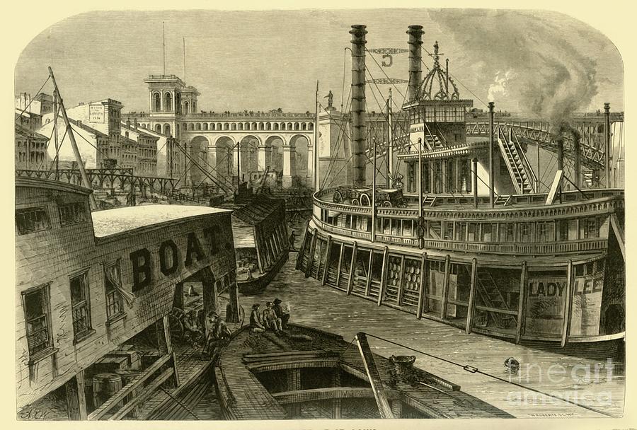 The Levee At St Louis Drawing by Print Collector