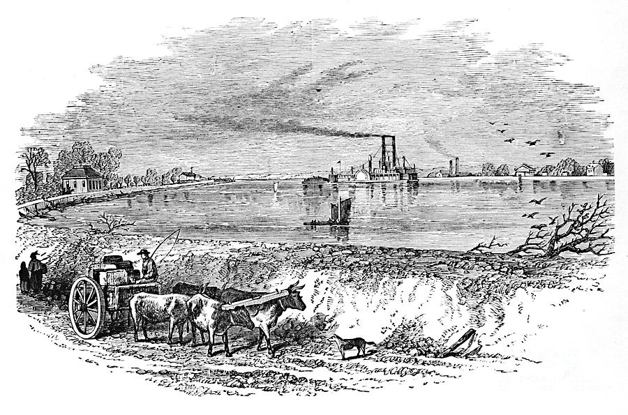 The Levee Drawing by Print Collector