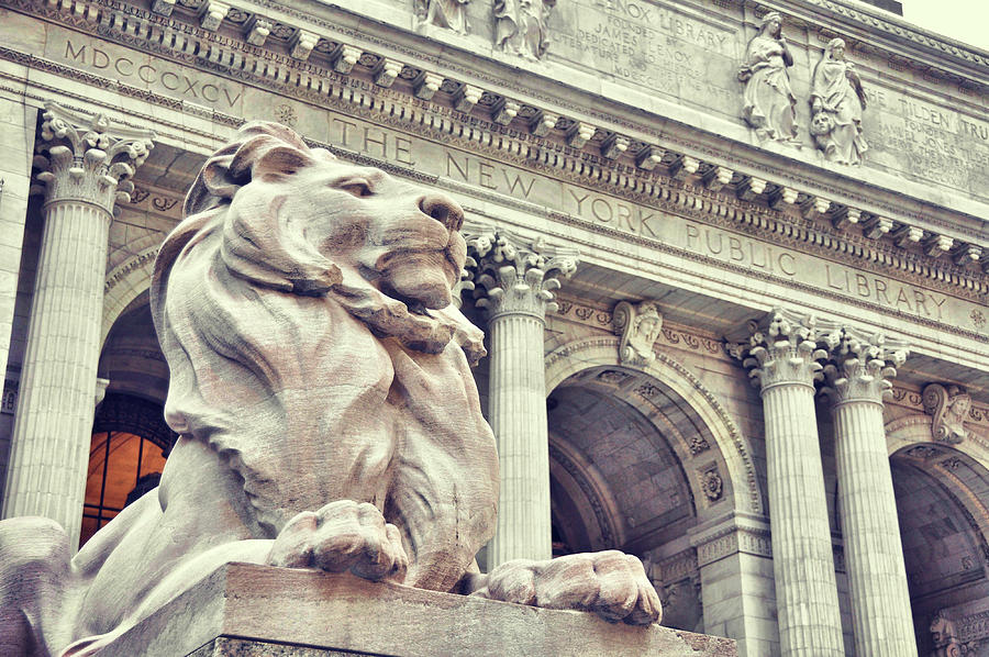 The Library Lions Photograph by JAMART Photography