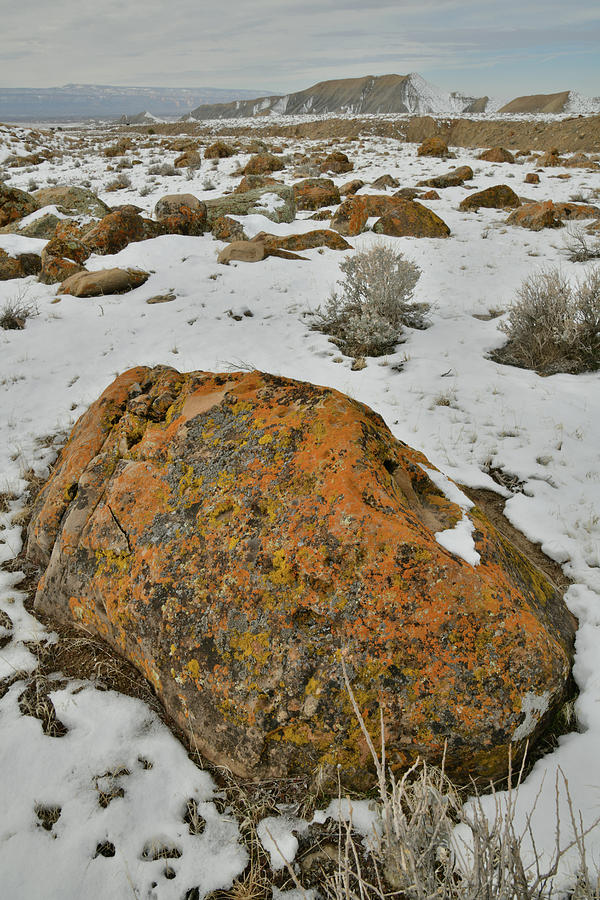 Mountain Photograph - The Lichen Covered Boulders of the Book Cliffs by Ray Mathis