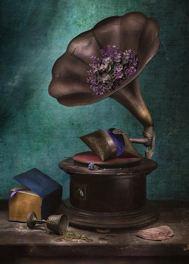 The Life Of A Gramophone Photograph by Vadim Kulinsky - Fine Art America